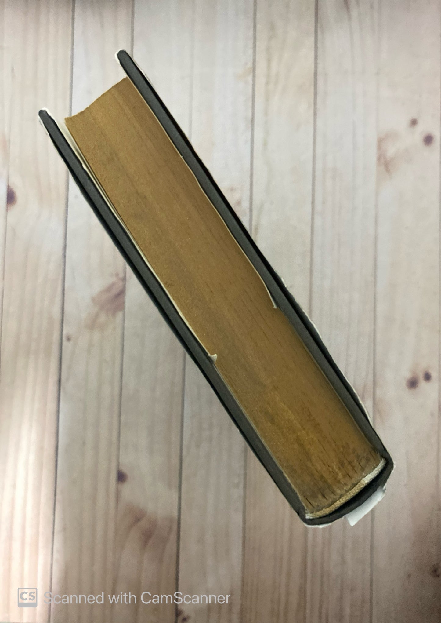 Bajo la acacia de occidente | Christian Jacq Ramses