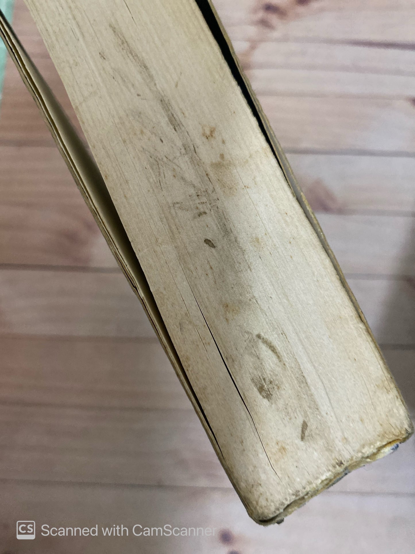 La rumba de Lázaro | Ernesto Mestre