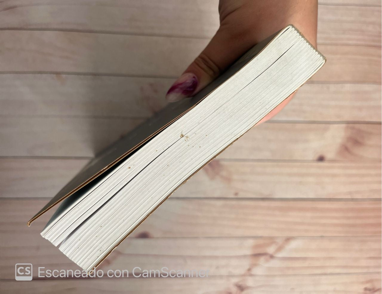 Obras de Noam chomsky