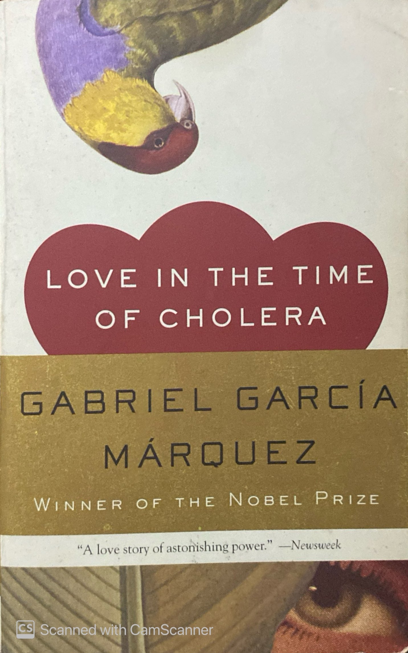 Love in the time of cholera | Gabriel Garcia Márquez