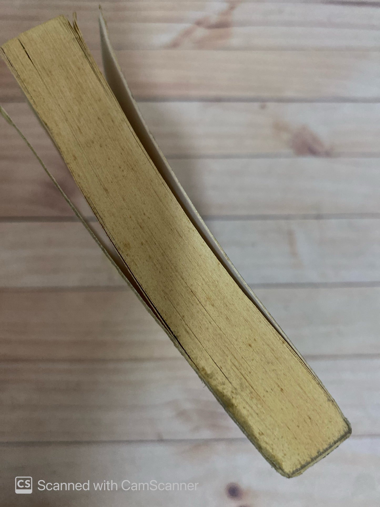 Insólito | Gonzalez Jiménez