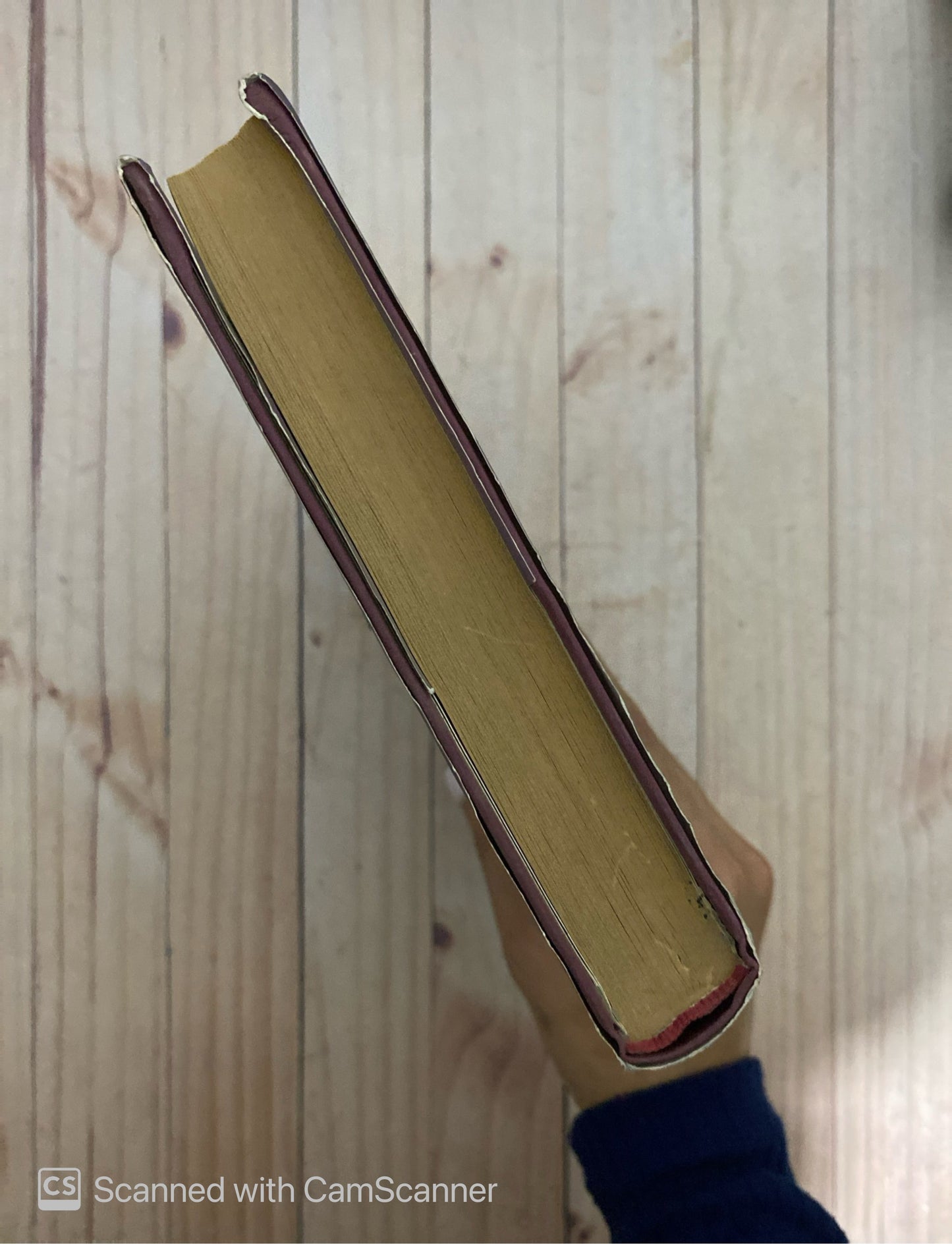 Los templarios | Jesús Mestre Godes