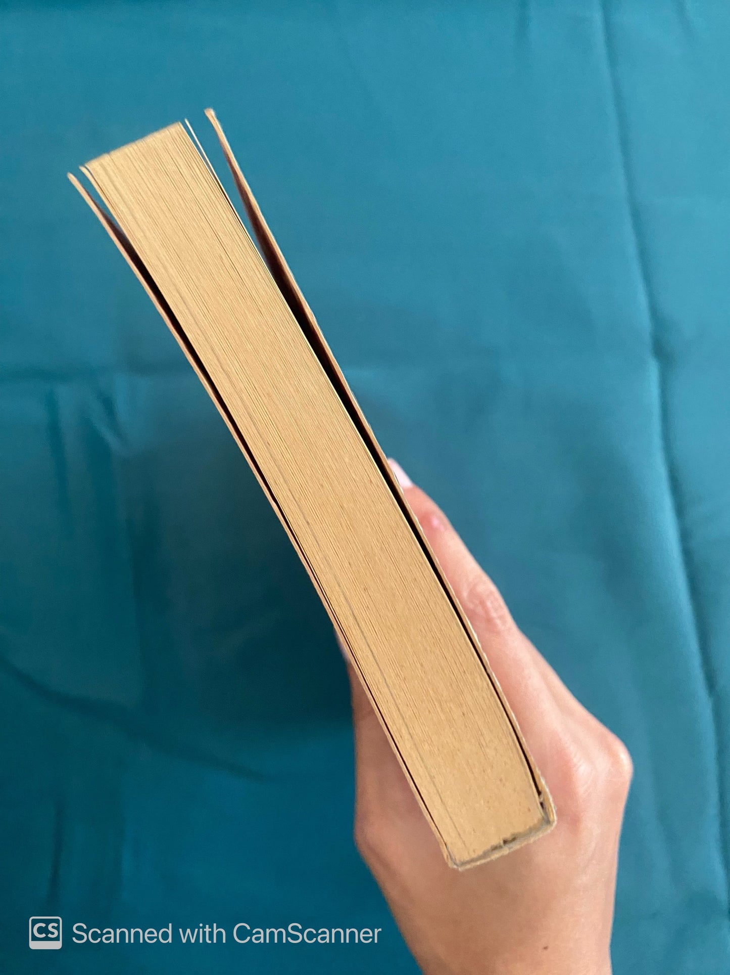 Heminghway | Anthony Burges