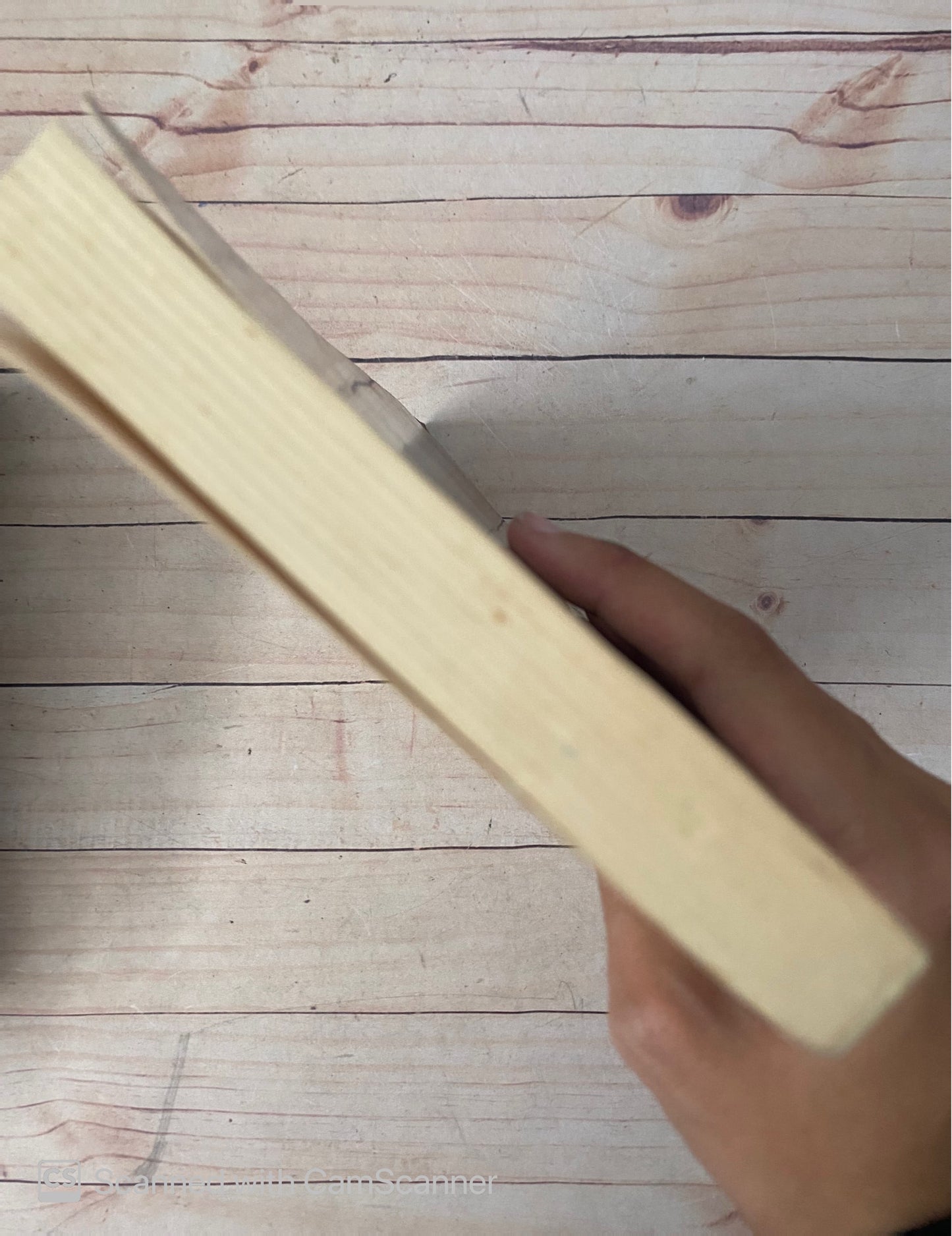 Mi querido Mijael | Amos Oz