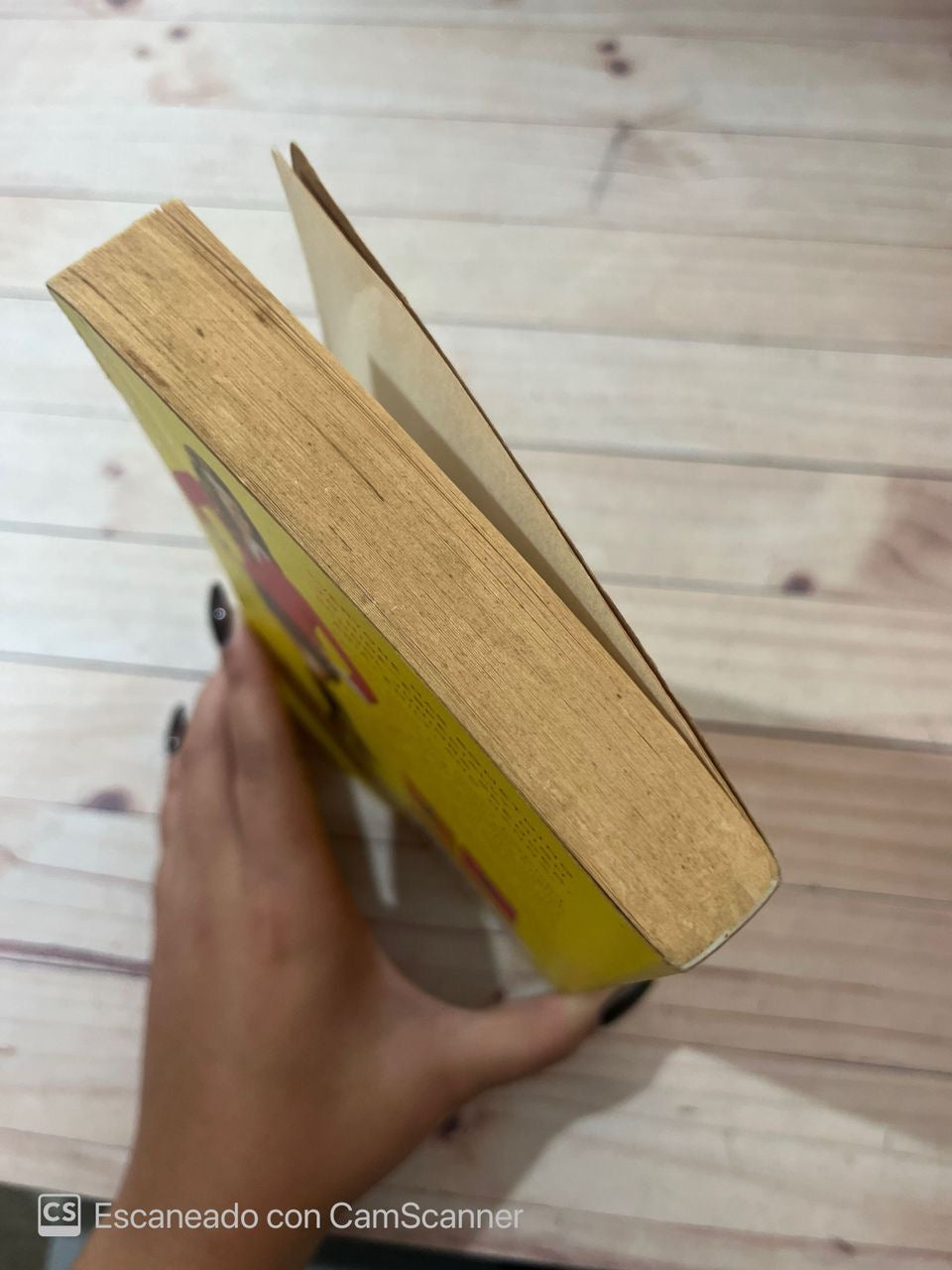 Pretty Little Liars |Sara Shepard