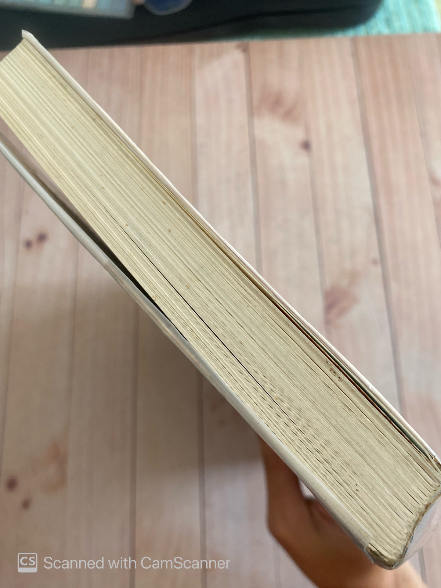 El éxito de los perezosos | Ernie J. Zelinski