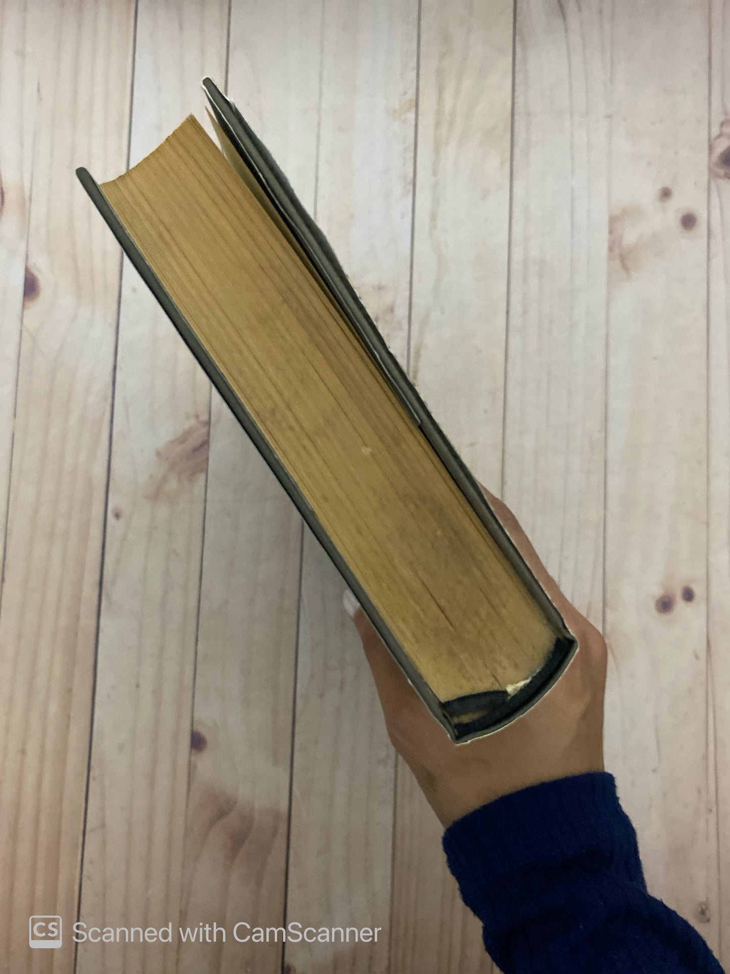 Escipión el africano | Ross Leckie