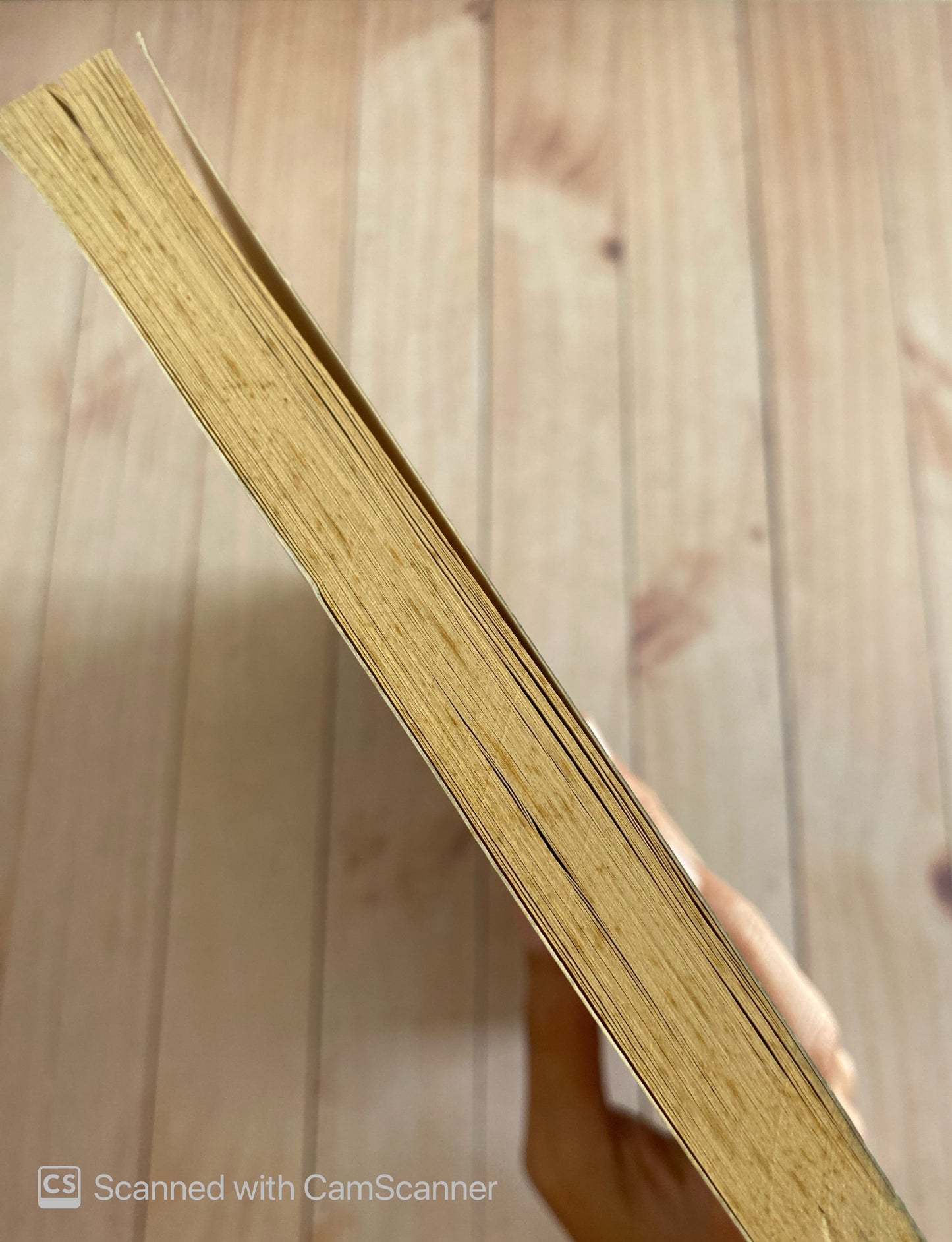 Terceras personas | Fedosy Santaella