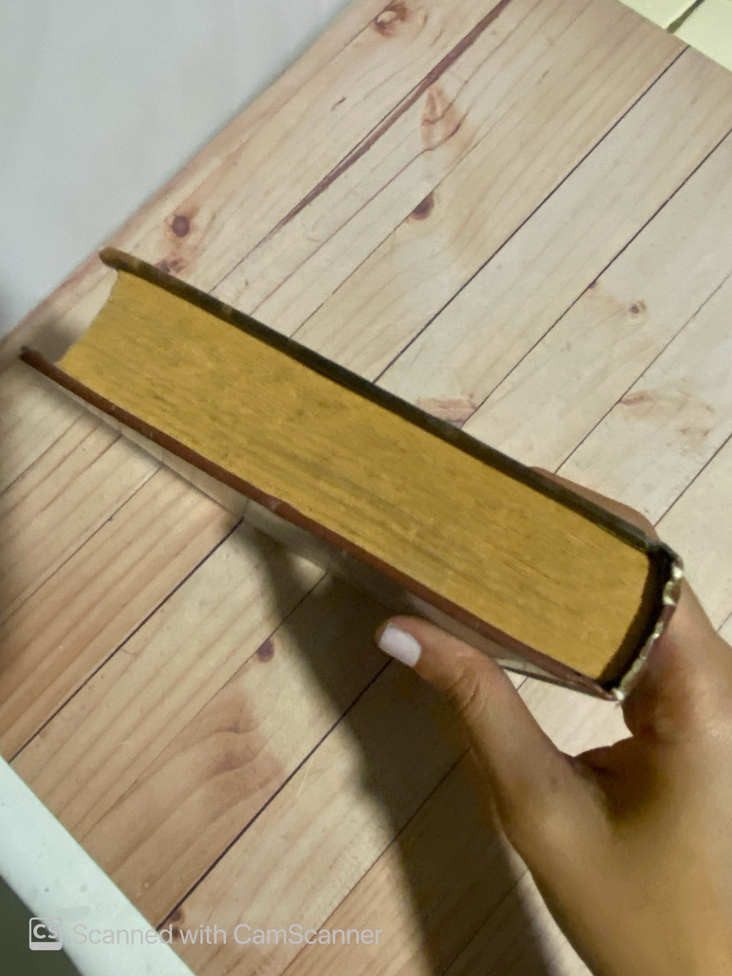 La virgen del sol | Jordi Diez