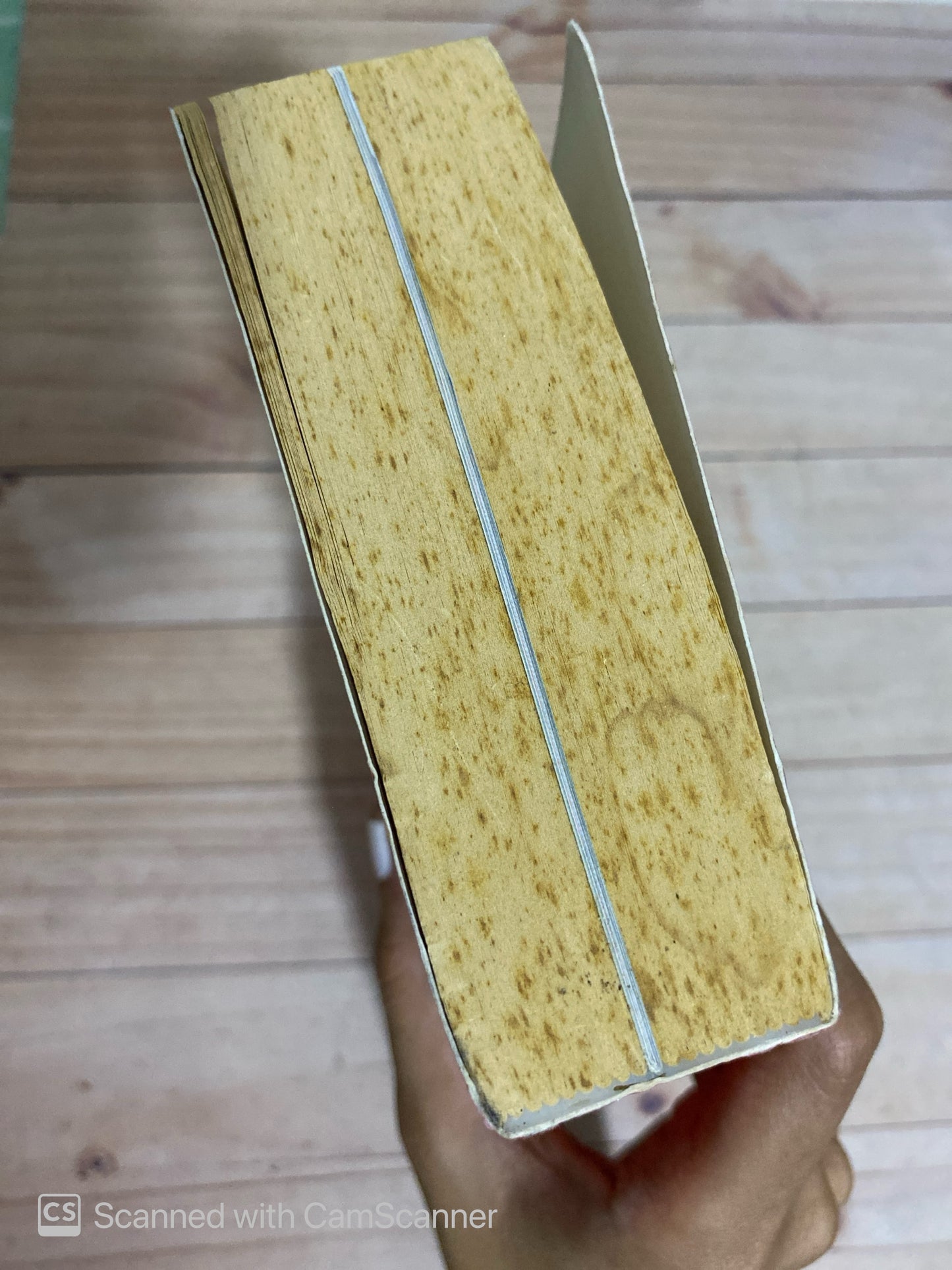 1421:El año en que china descubrió el mundo | Gavin Menzies