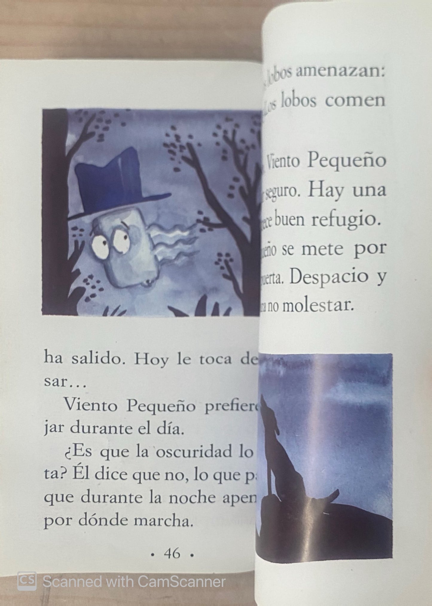 El viaje de viento pequeño | Concha lopez Narvaez