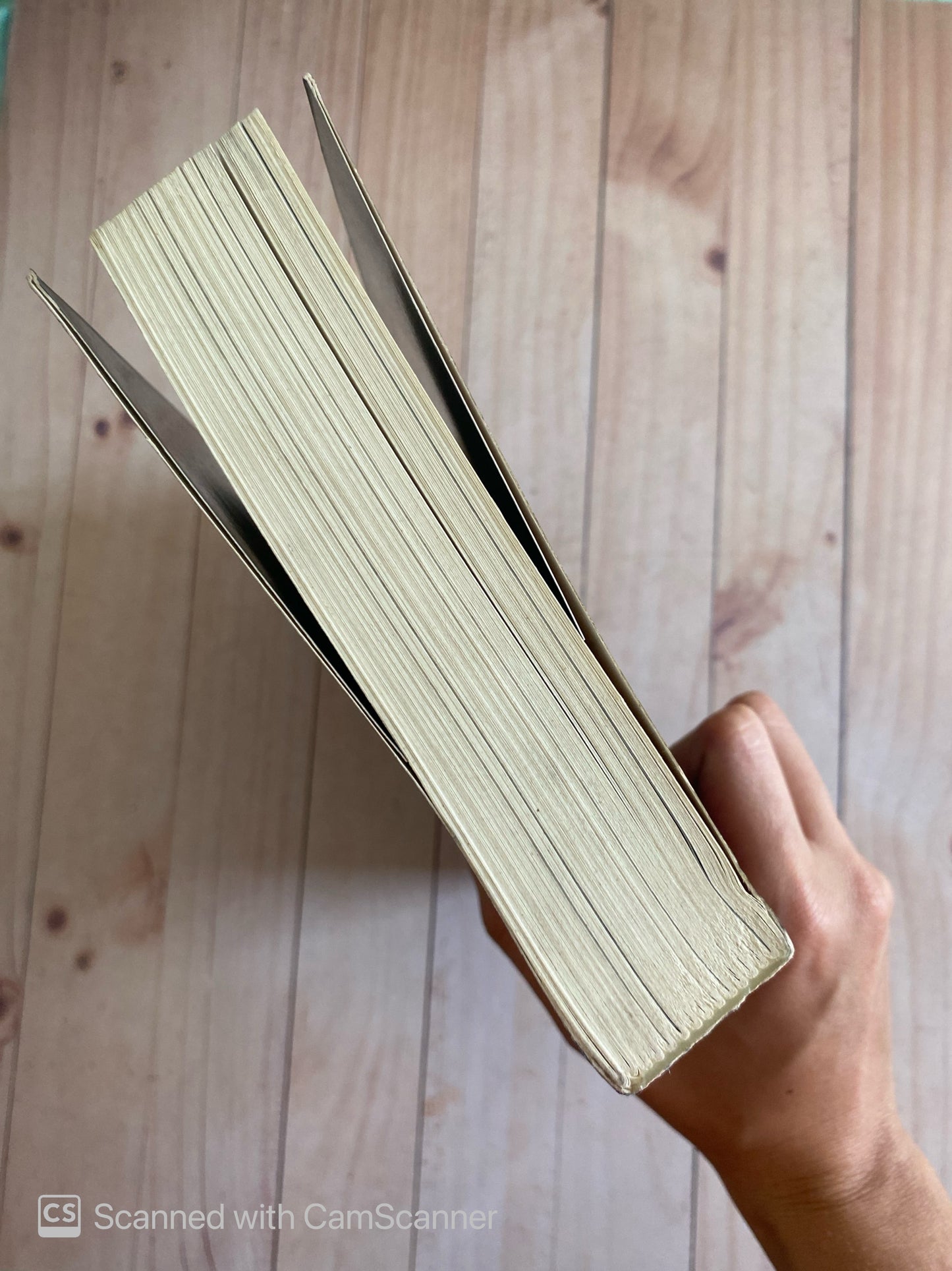El enigma sagrado | Michael Baigent