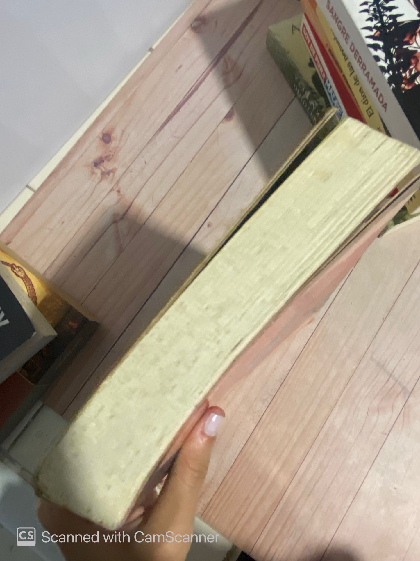 Un pequeño inconveniente | Mark Haddon