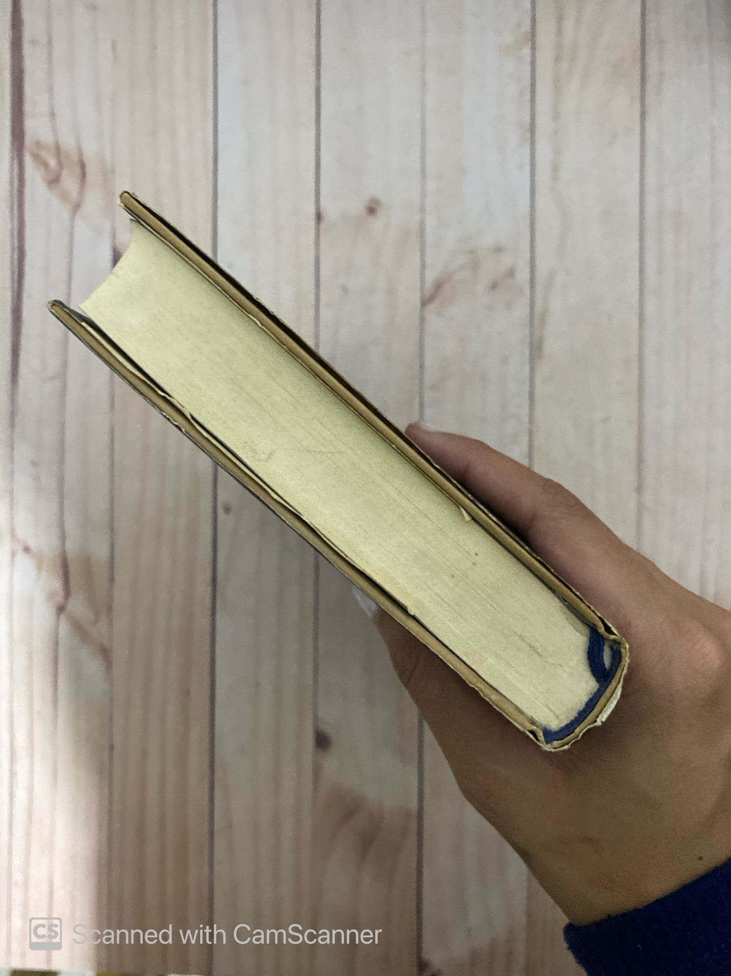 La prostituta de pentecost alley | Anne Perry