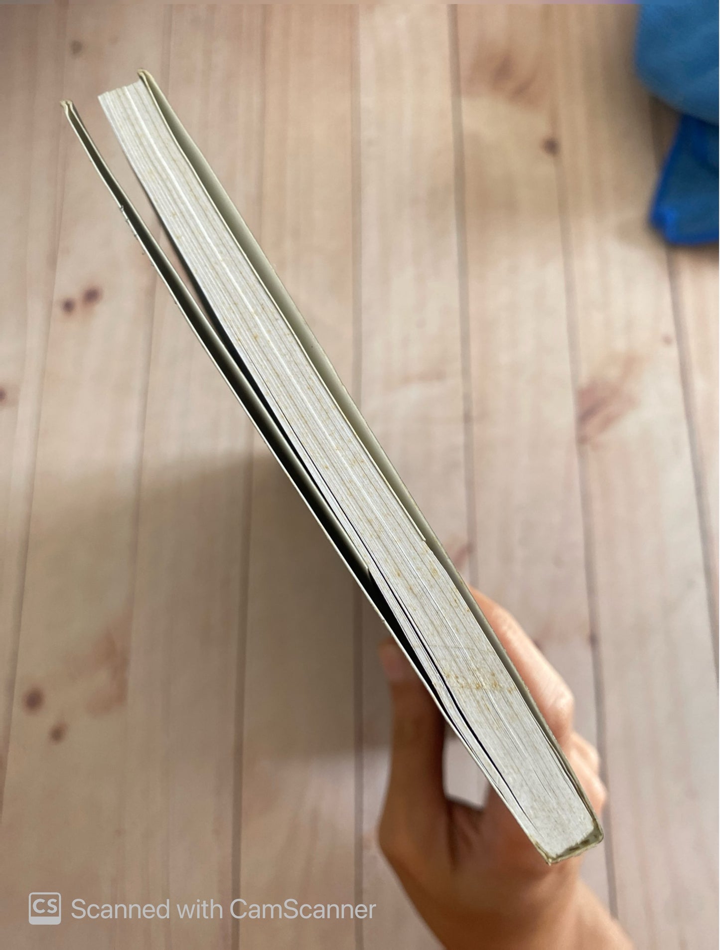 Mujeres de armas temer | Leopoldo Tablante