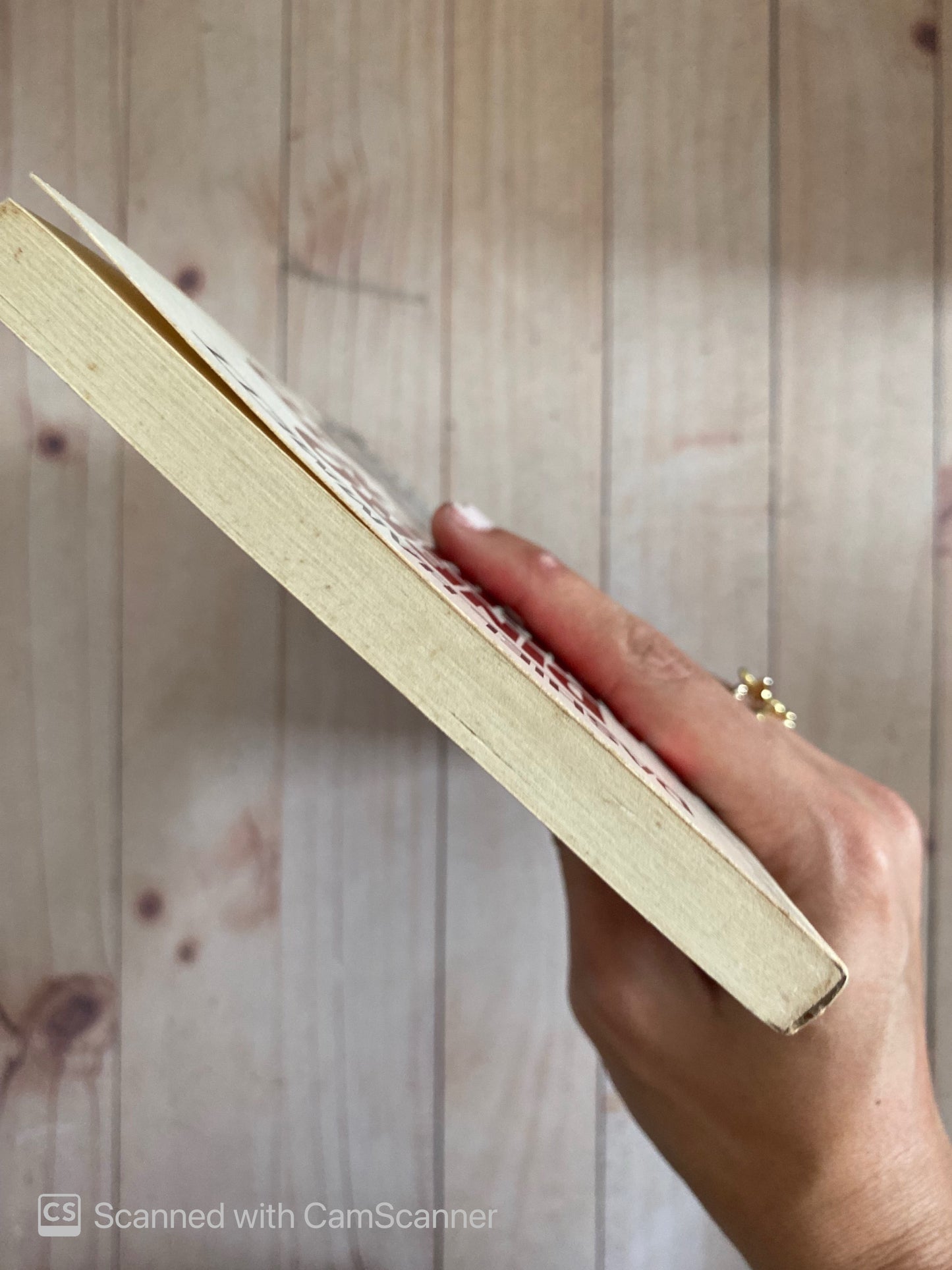 Dinero Sangrieto | Dashiel Hammet