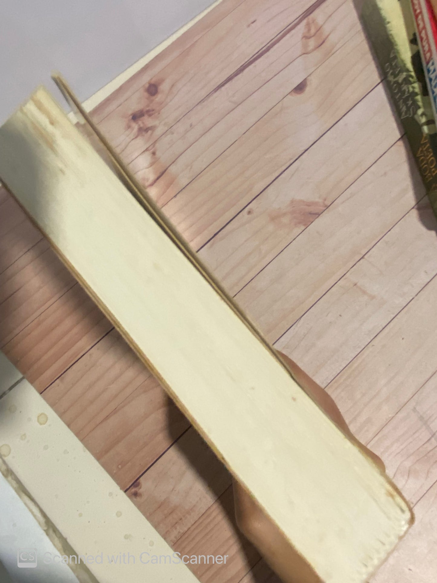 El dios de las pequeñas cosas | Arundhati Roy