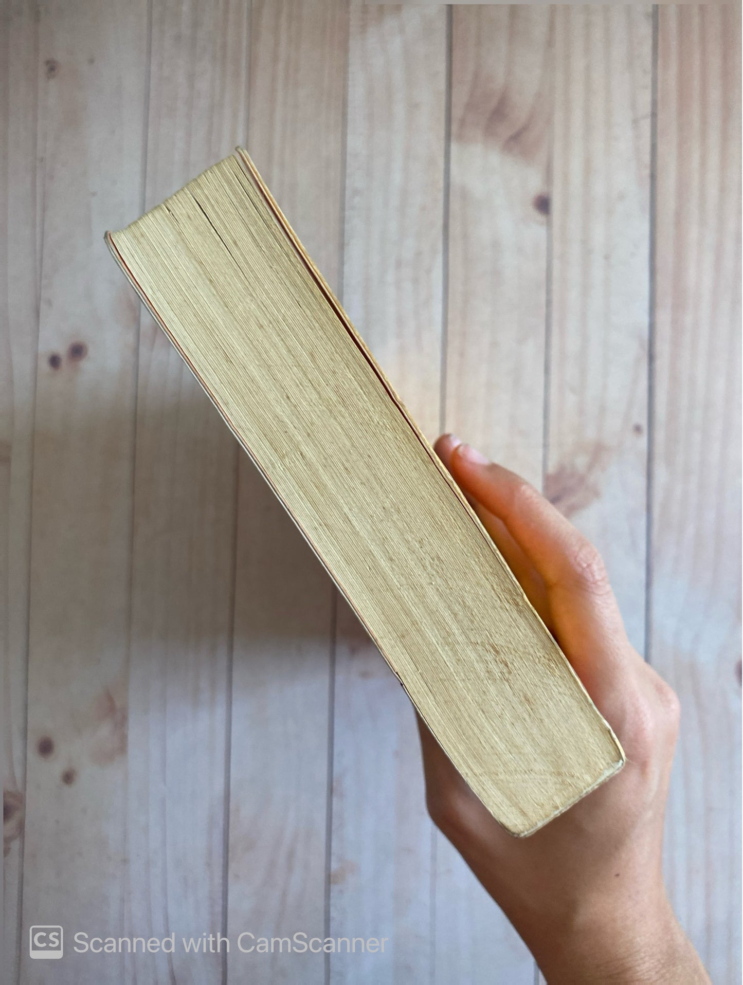 La encantadora de Florencia | Salman Rushdie