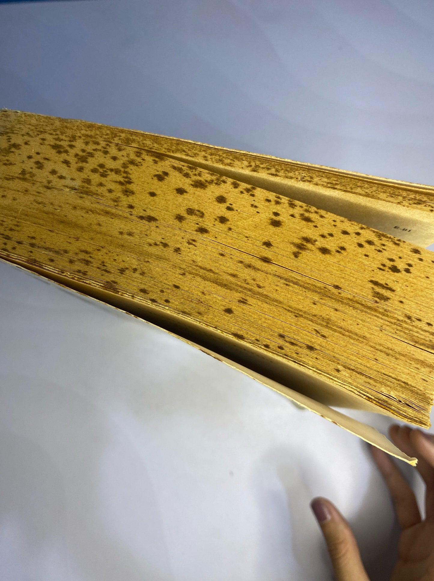 Geometría plana y del espacio y trigonometría | Baldor