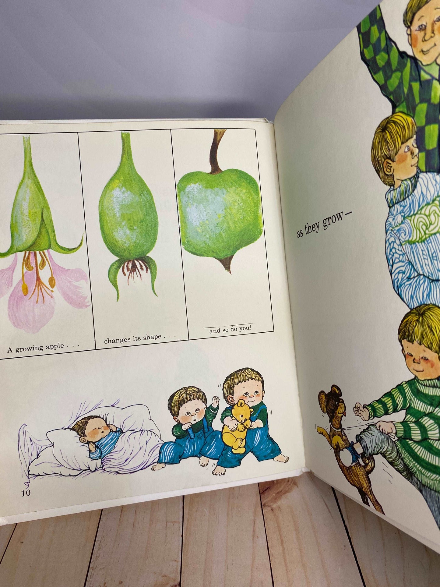 The shapes Book | Britannica Discovery Library