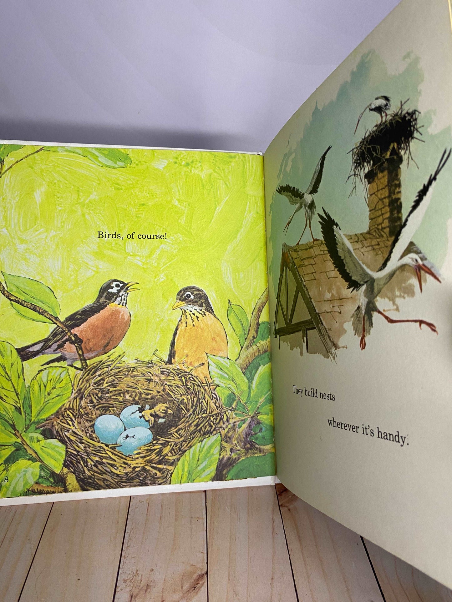 The animals Book | Britannica Discovery Library