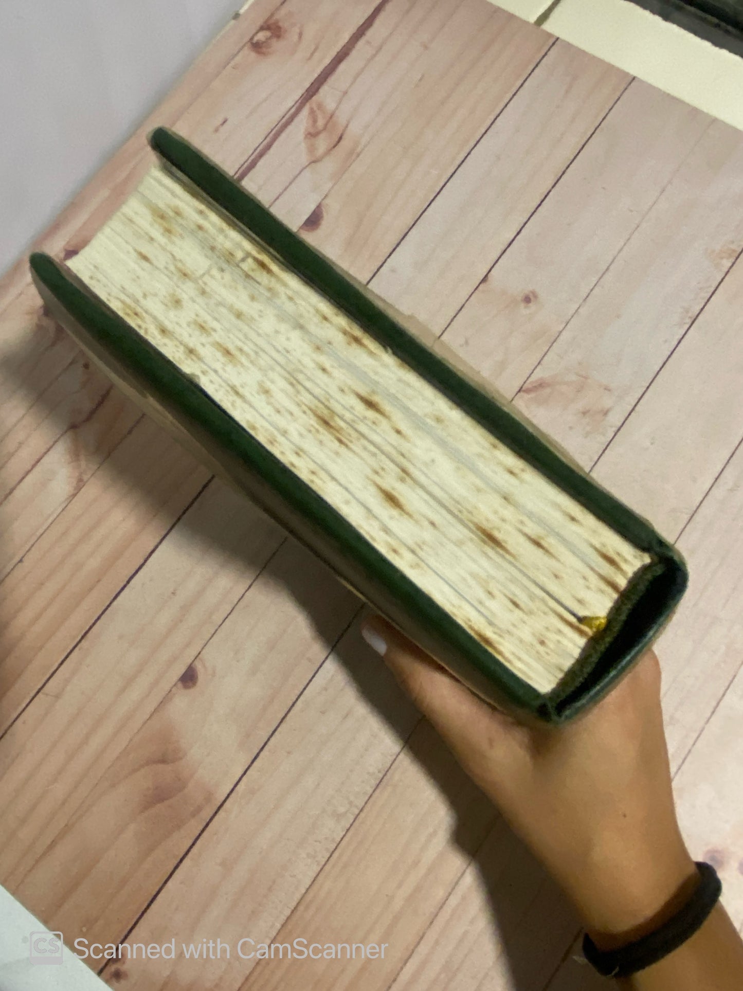 Francois 1er | Castelot