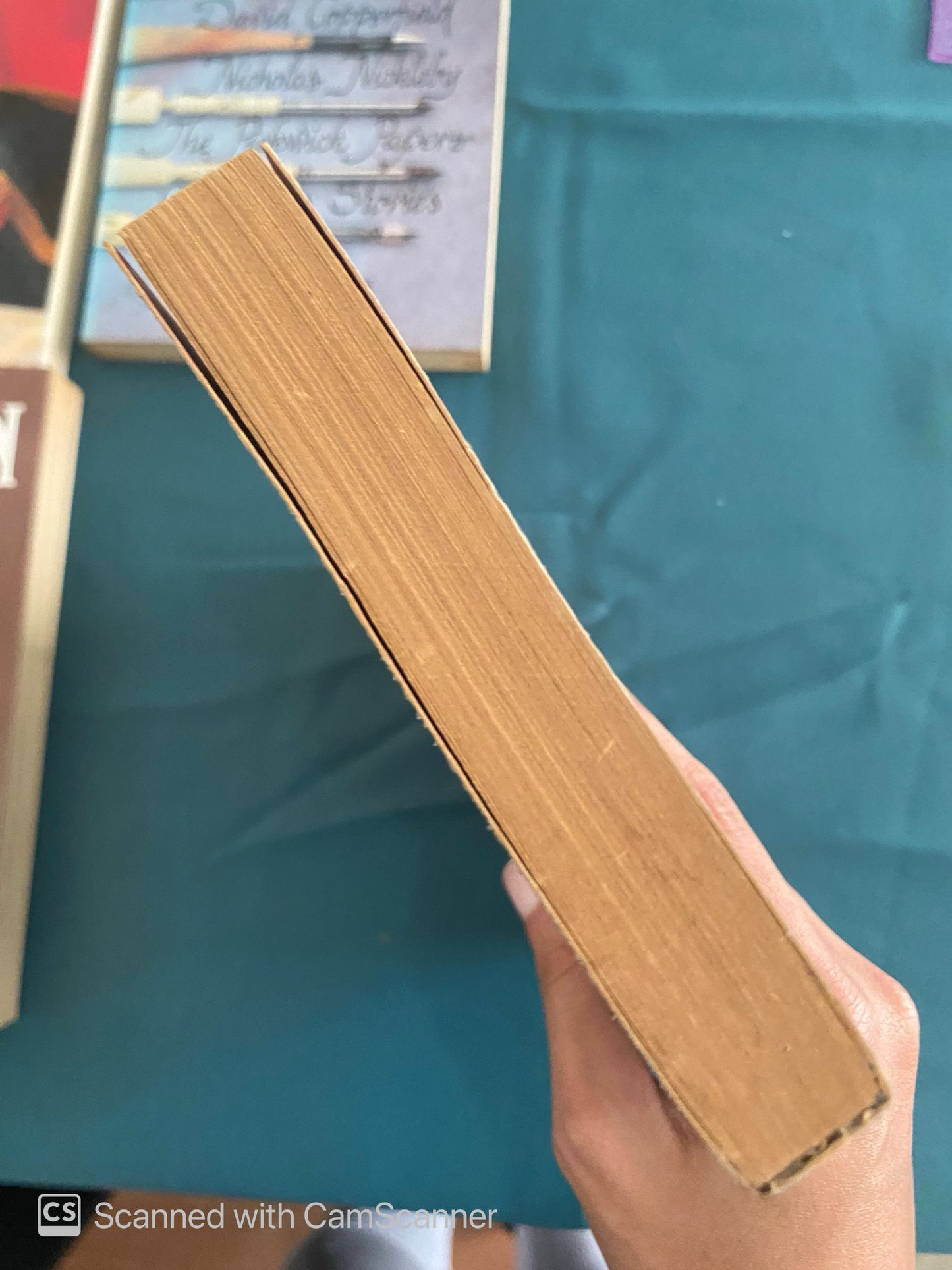 Verdi | Charles Osborne