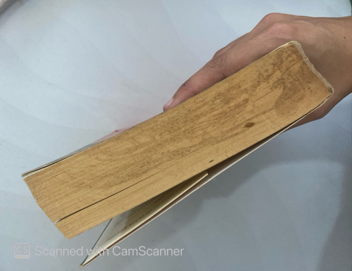 El manifiesto negro | Frederick Forsyth