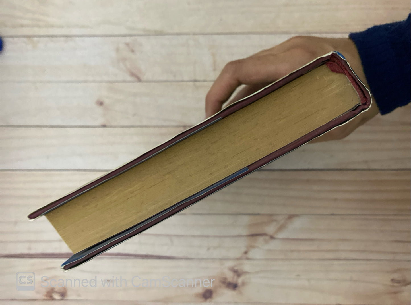 Los falsos peregrinos | Nicholas Wilcox