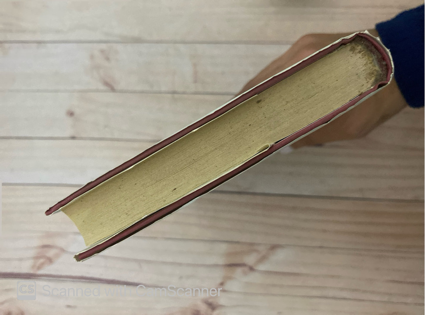 El honor del silencio | Danielle Steel