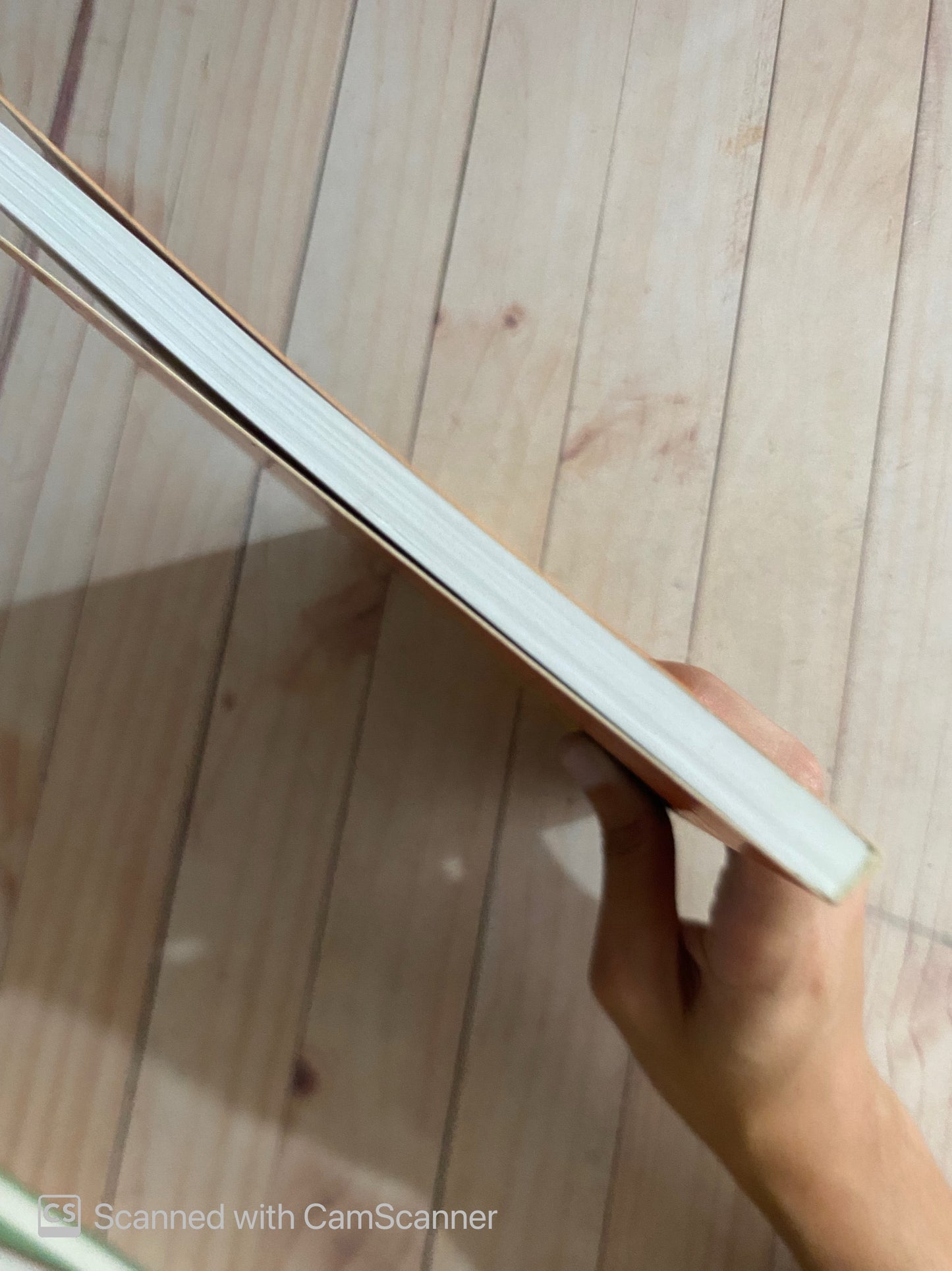 La mirada del escritor