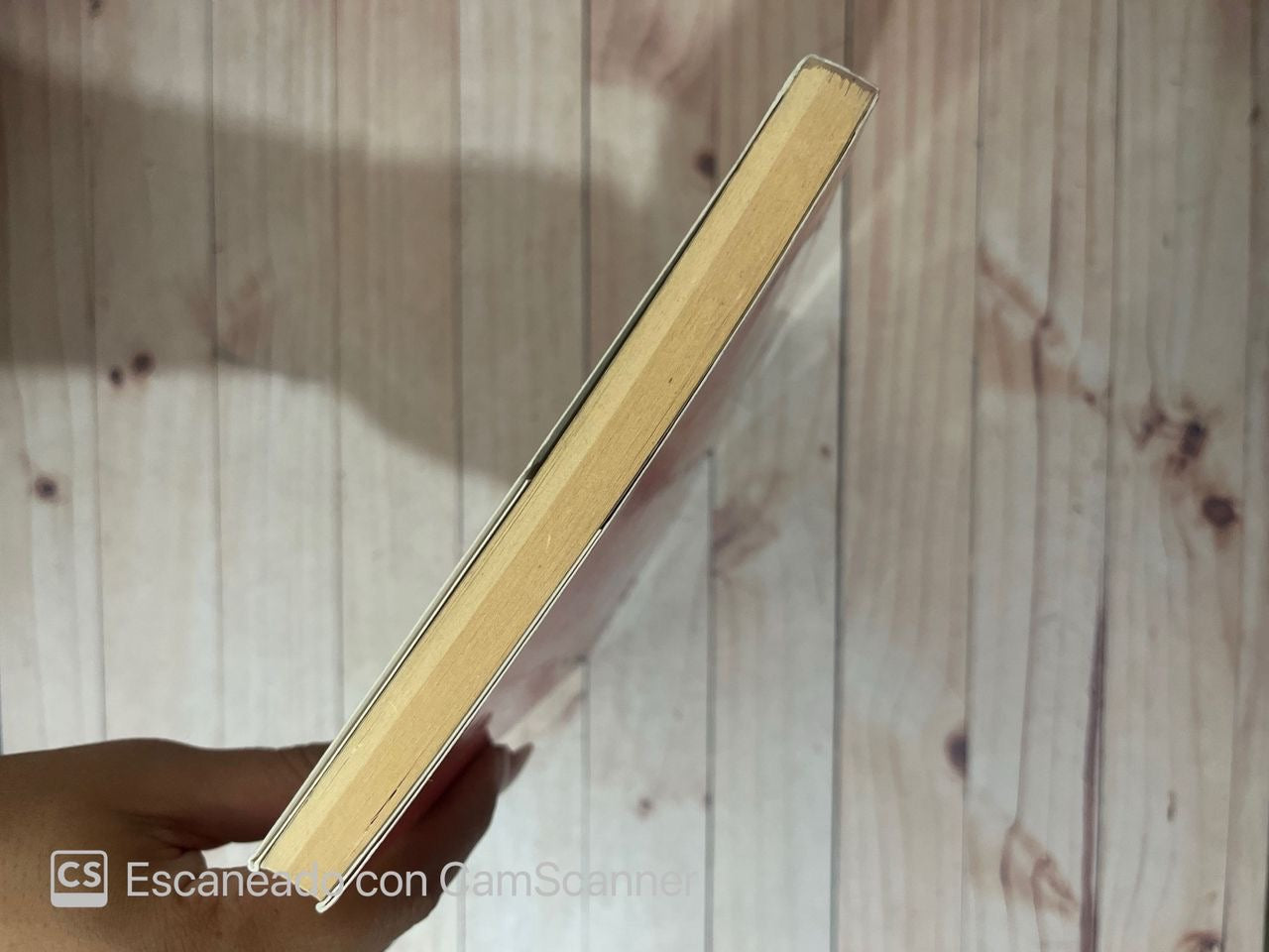 Amantes vs esposas | Ana Flor Raucci