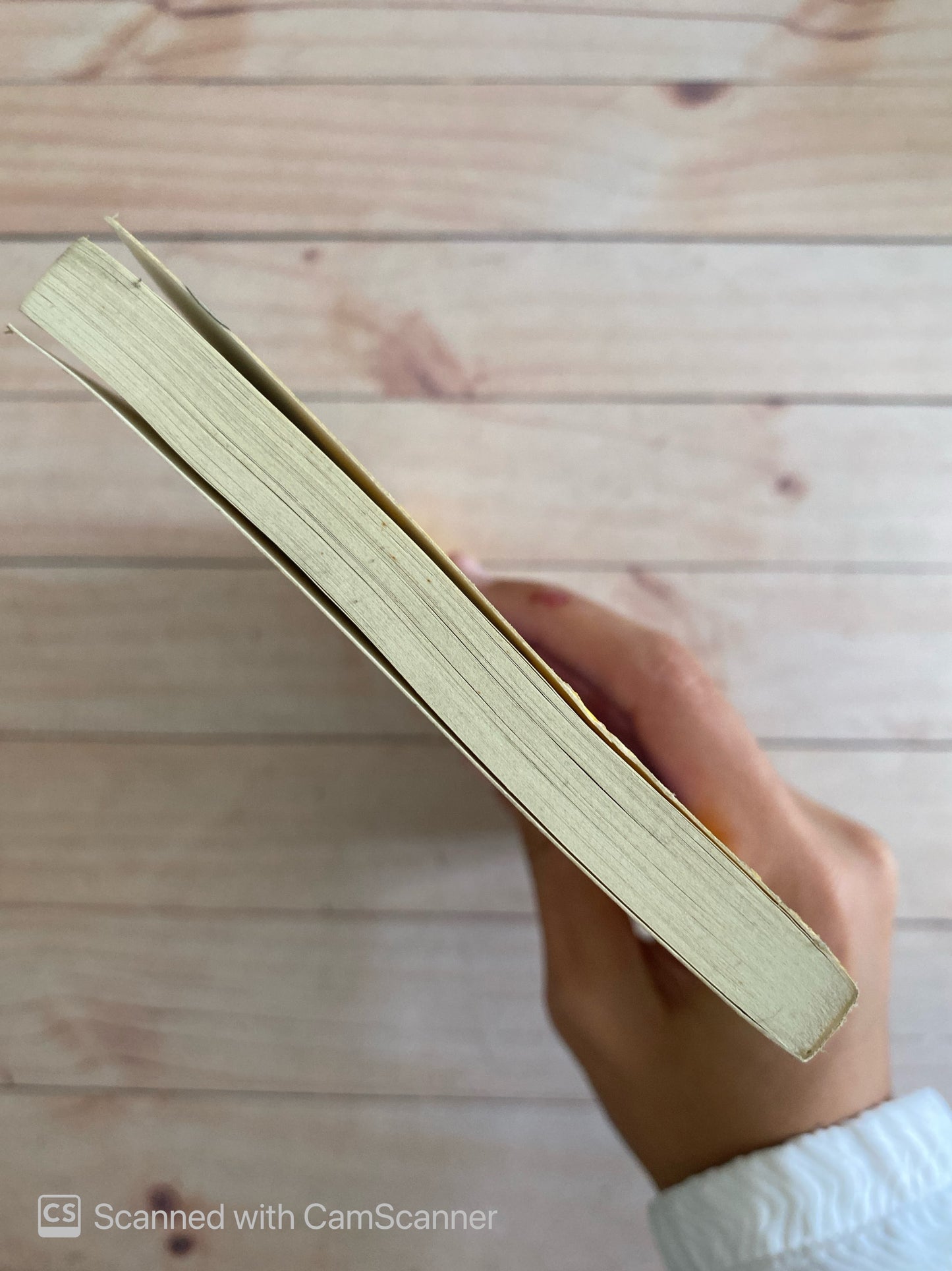 La tarde de los elfos | Janet Taylor Lisle