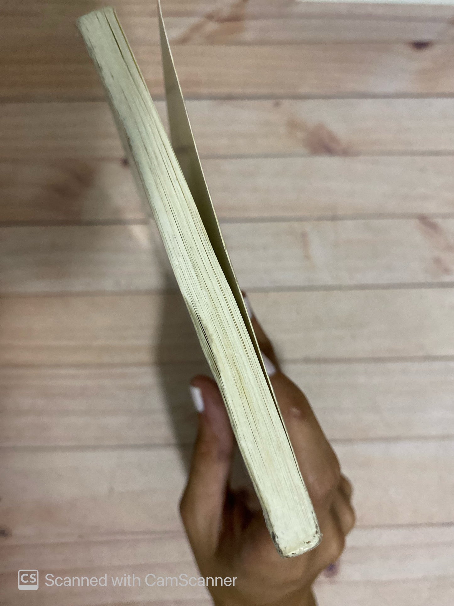 Desilusionismo | Mookie Tenembaum