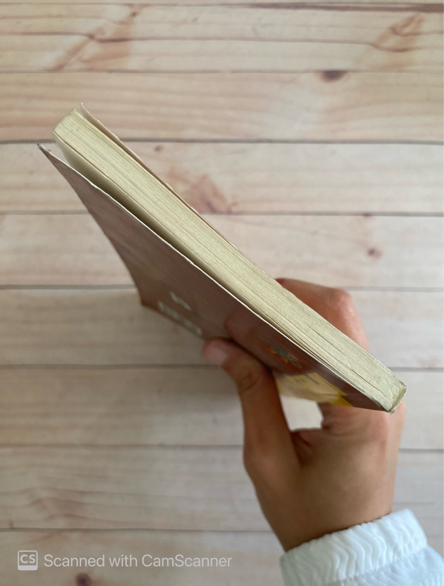 Nuestras hazañas en la cueva | Thomas Hardy