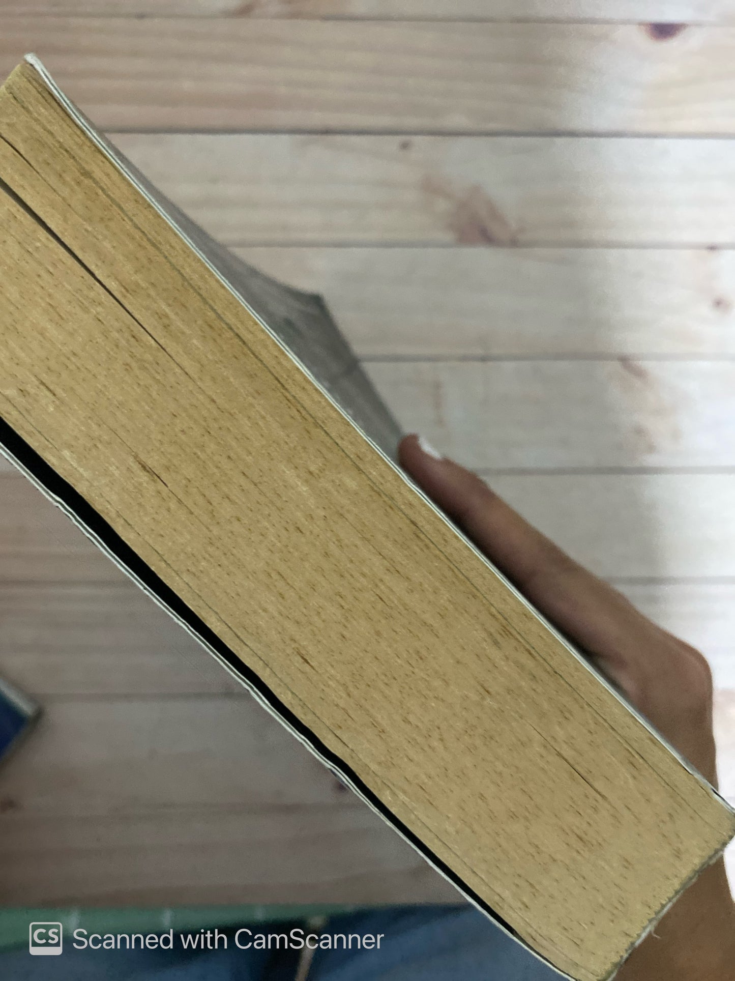 Ficciones-El aleph El informe de brodie | Jorge Luis Borges