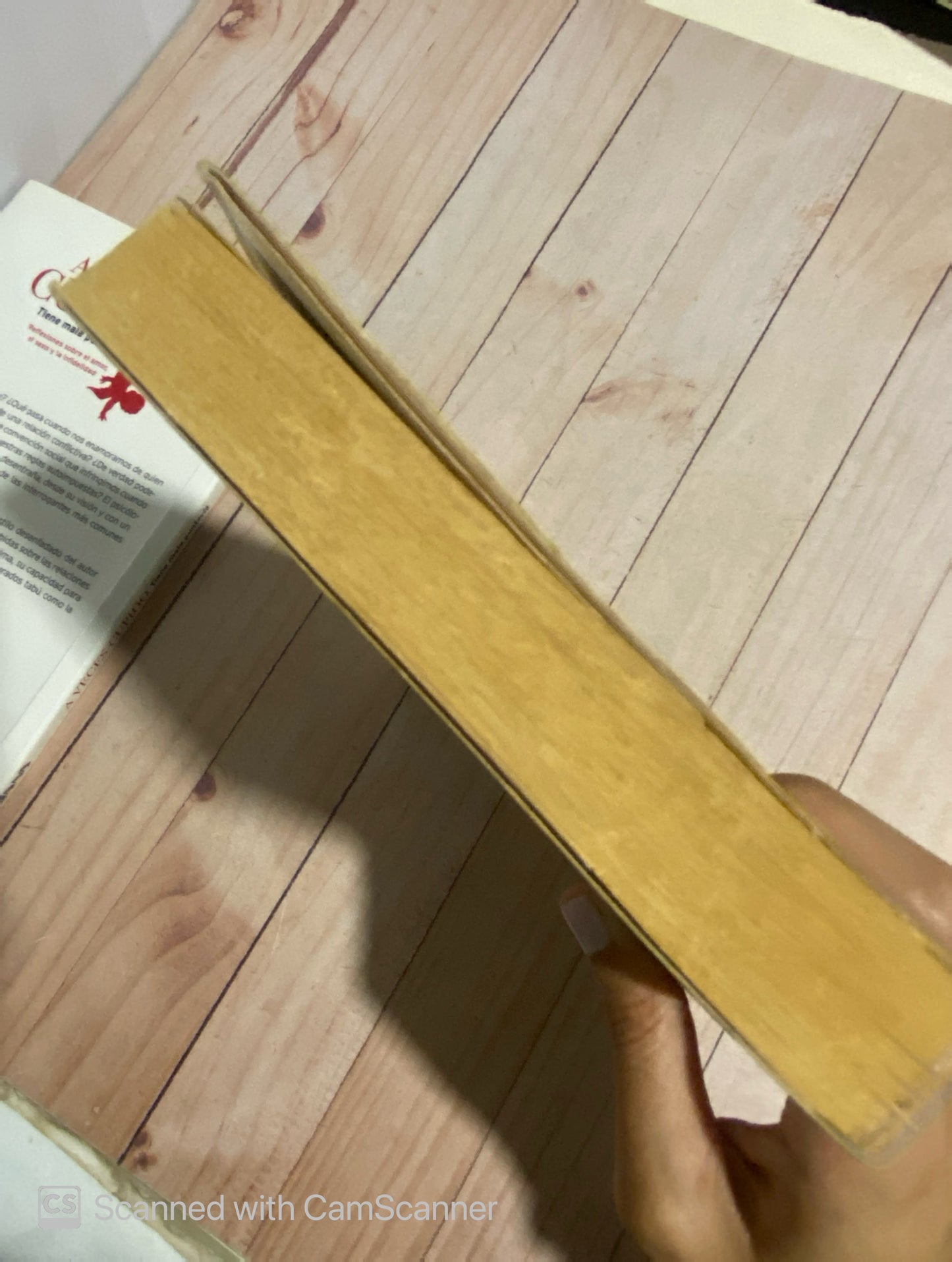 La sombra inmóvil | Antonio López Ortega