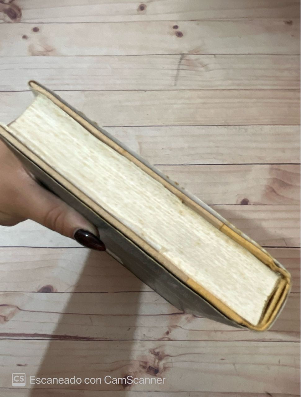 Iran, a people interrumpted | Hamid Dabashi