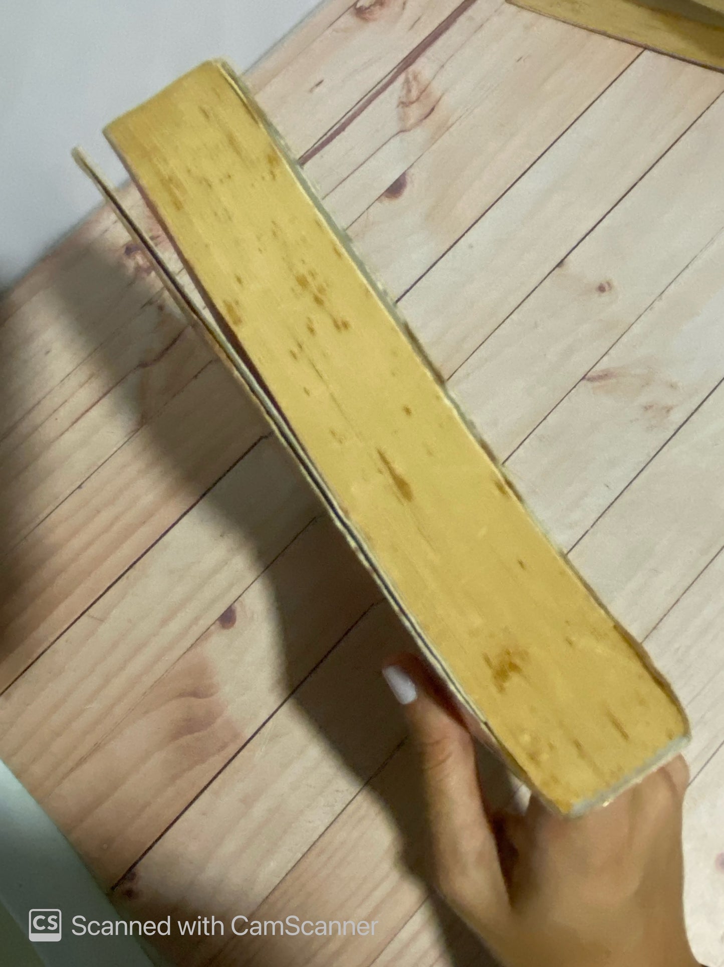 Leopardo al sol | Laura Restrepo