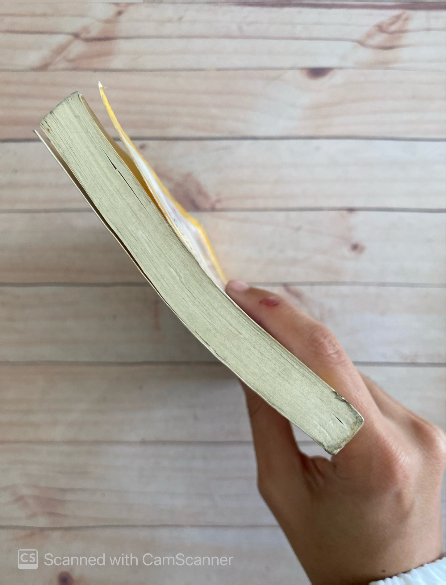 Un marido para mamá | Christine Nöstlinger