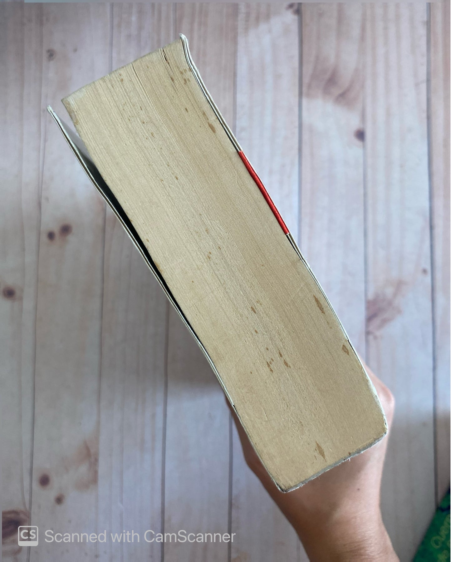 Chico de ojos azules | Joanne Harris