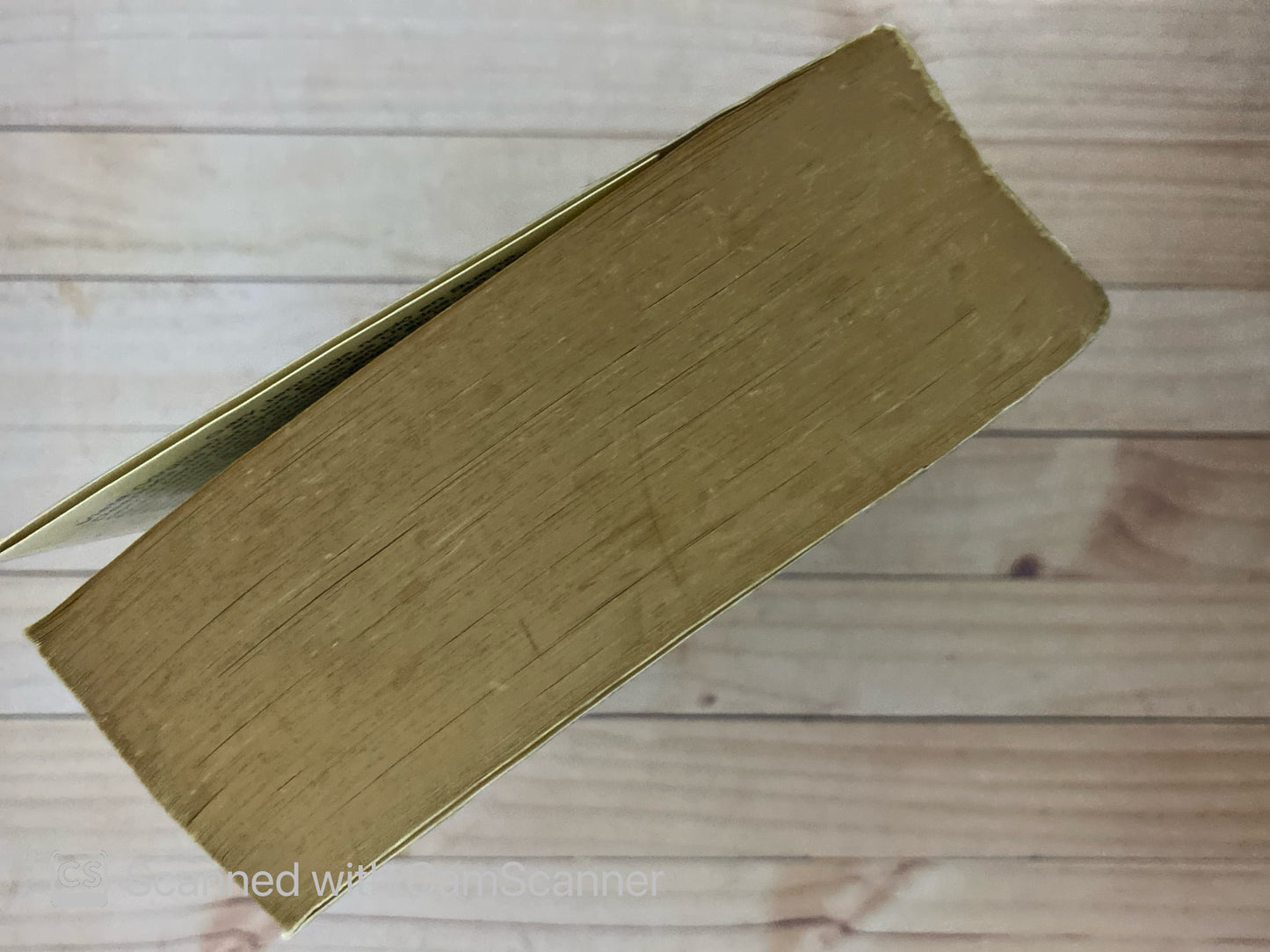 Halcon | Gary Jennings