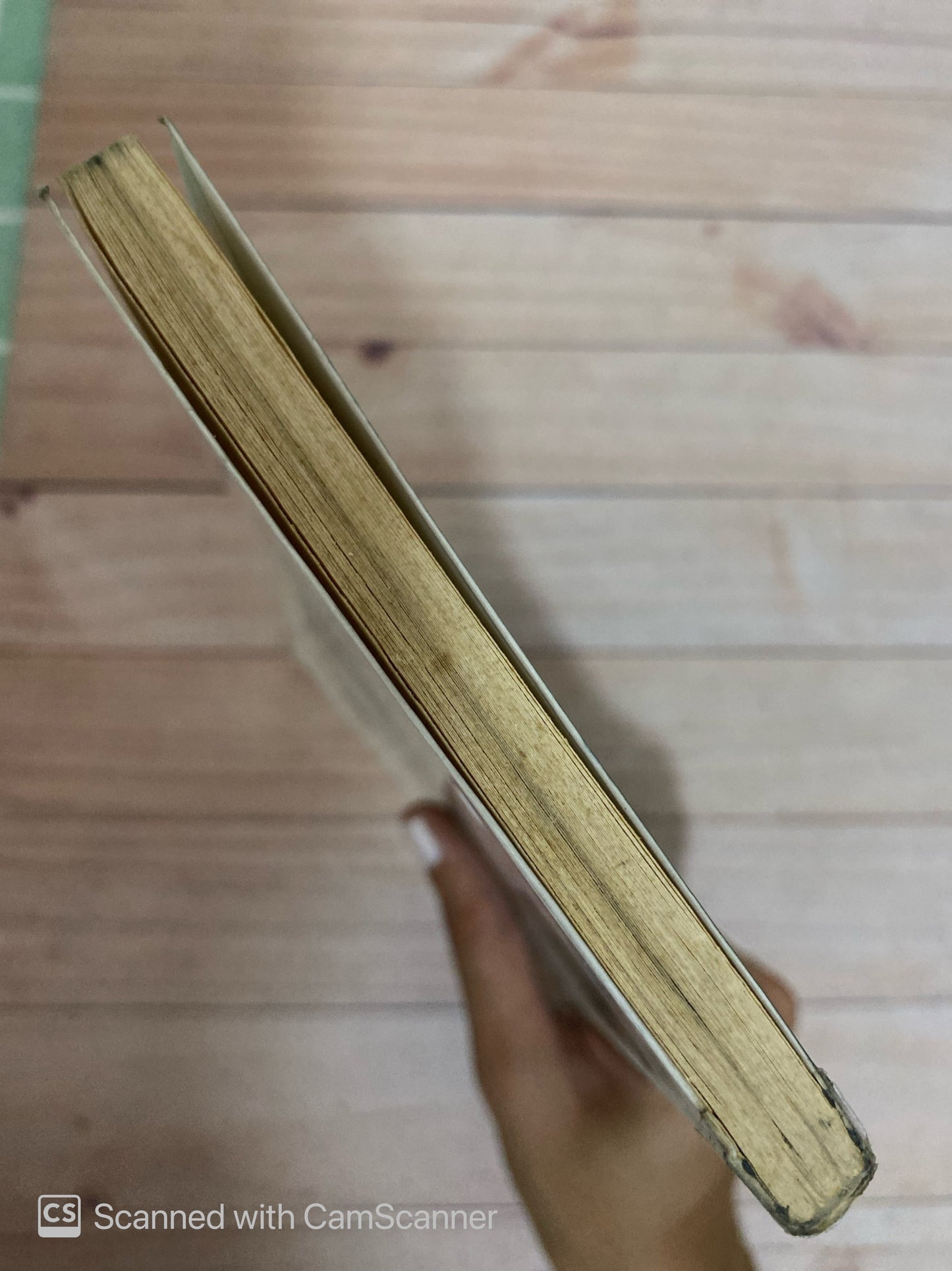 La ballena varada | Oscar Collazos