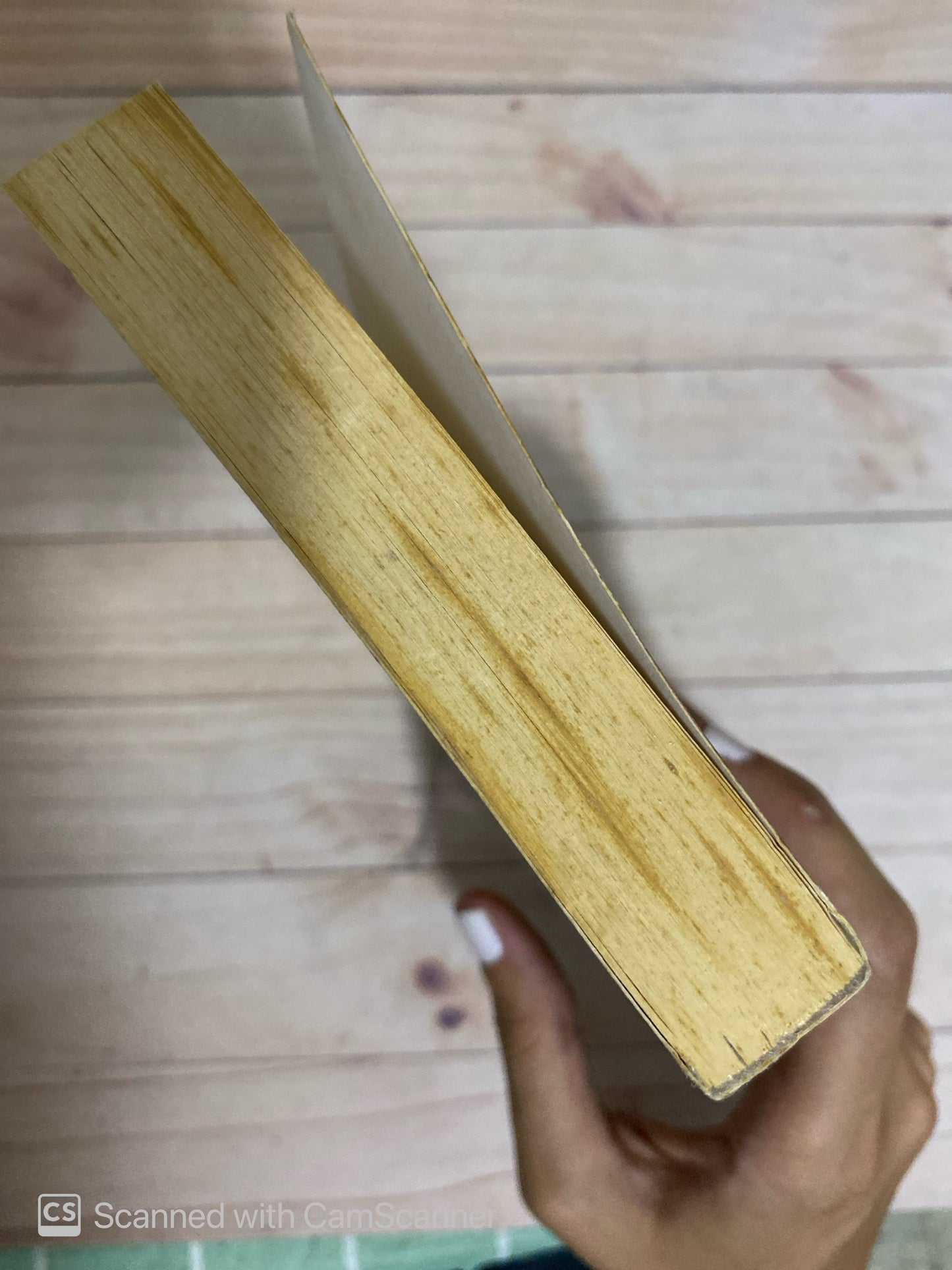 Pájaro de mar por tierra | Isaac Chocrón