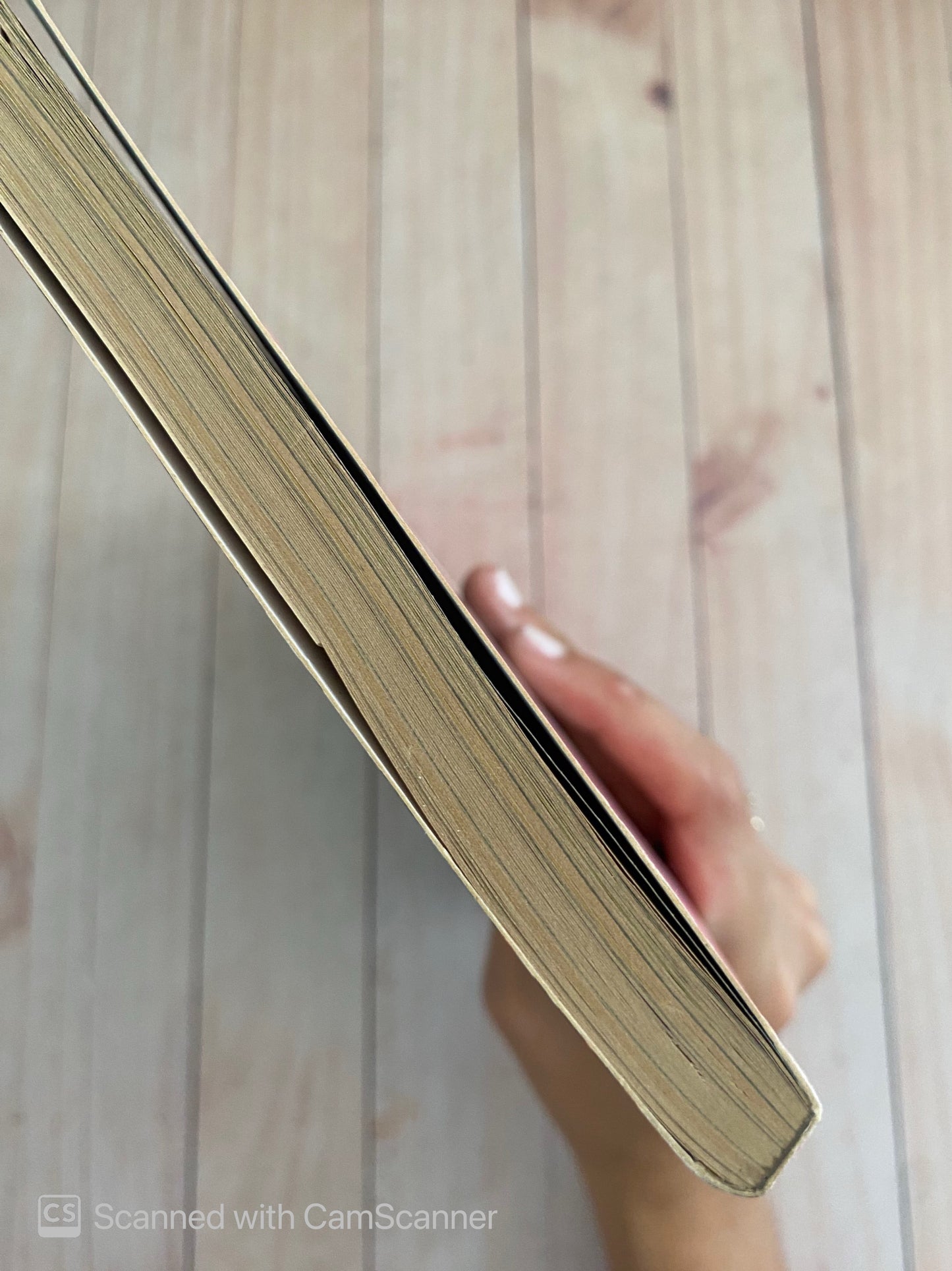 Mariconeriasmías | López Bruzual