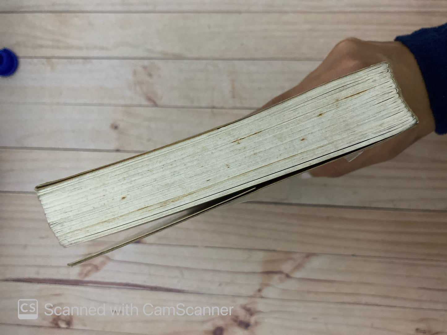 Los dioses del cambio | Howard Sasportas