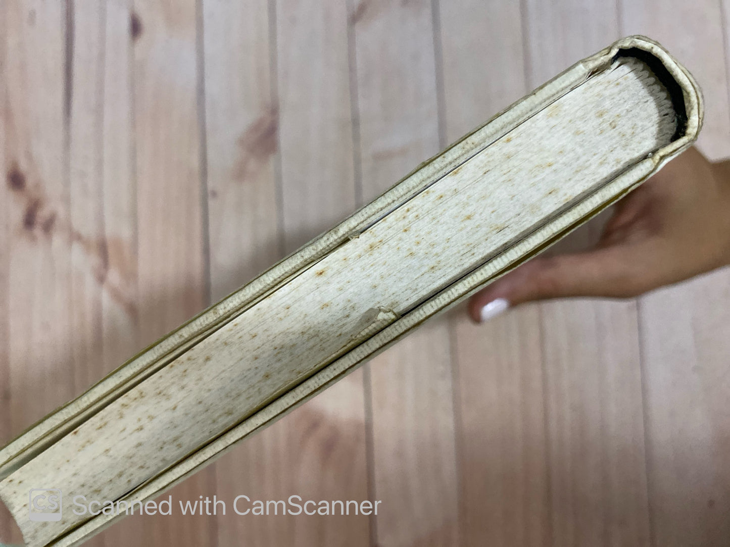 Los amigos del crimen perfecto | Andrés Trapiello