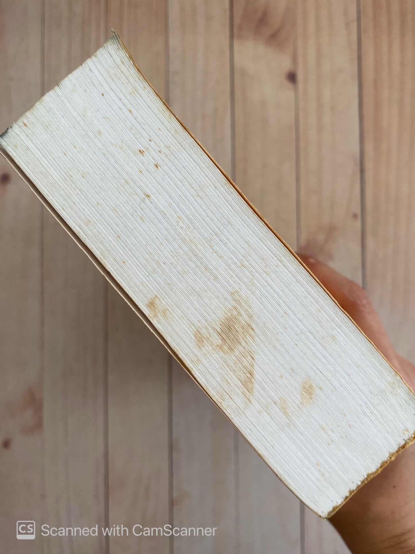 Tiempo de Ezequiel Zamora | Federico Brito Figueroa