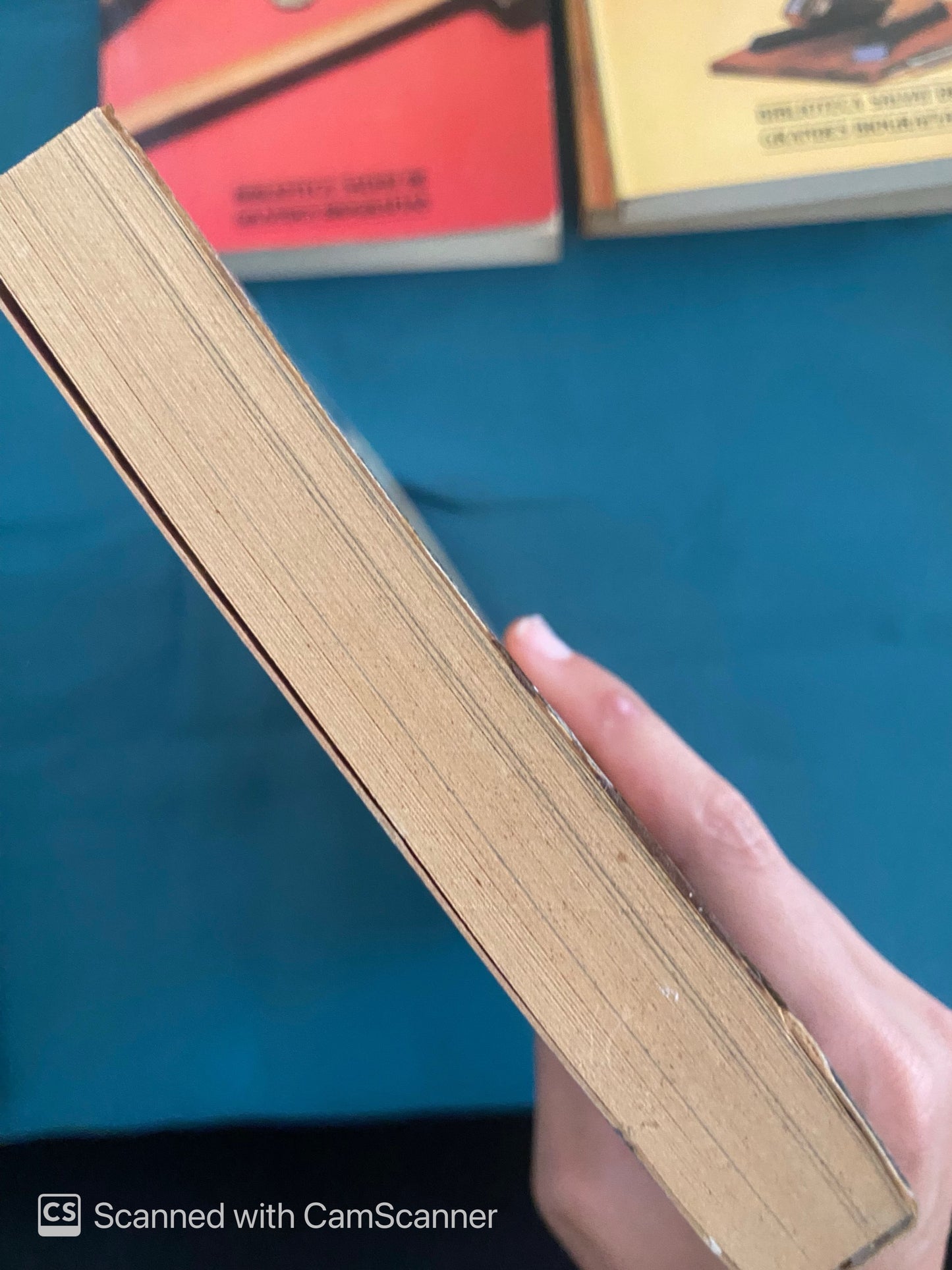 Bolivar | Jorge Campos