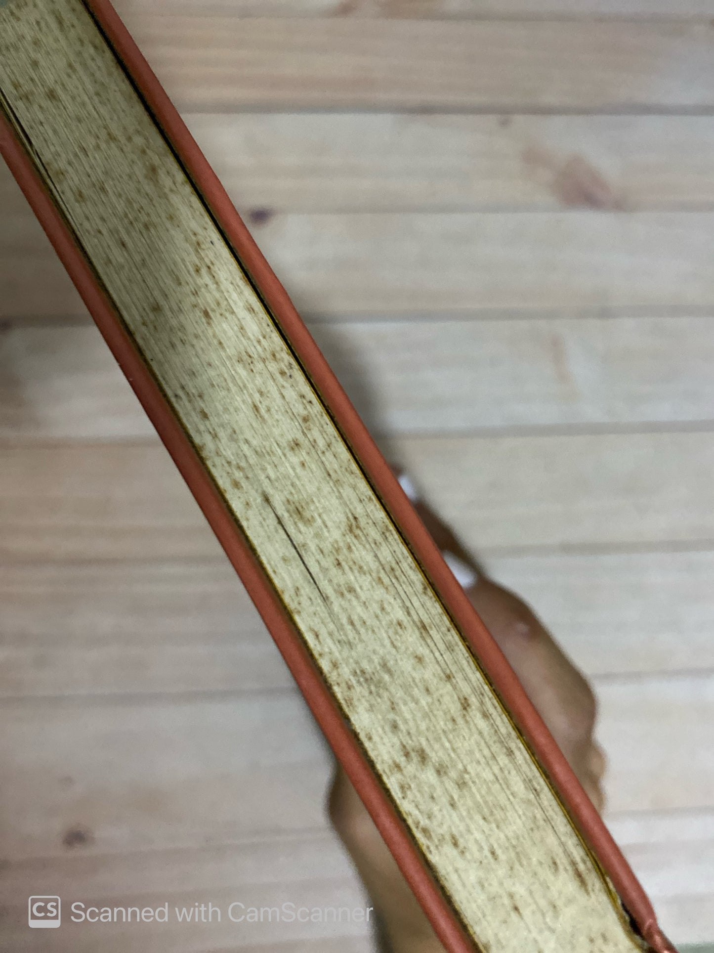 Hermano Lobo | Michelle Paver